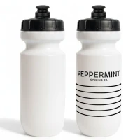 BOTELLA INDURAIN 600 ML